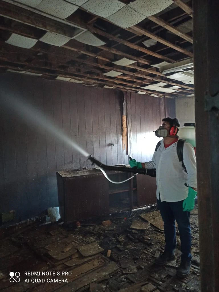 Controle de pombos em Jundiaí