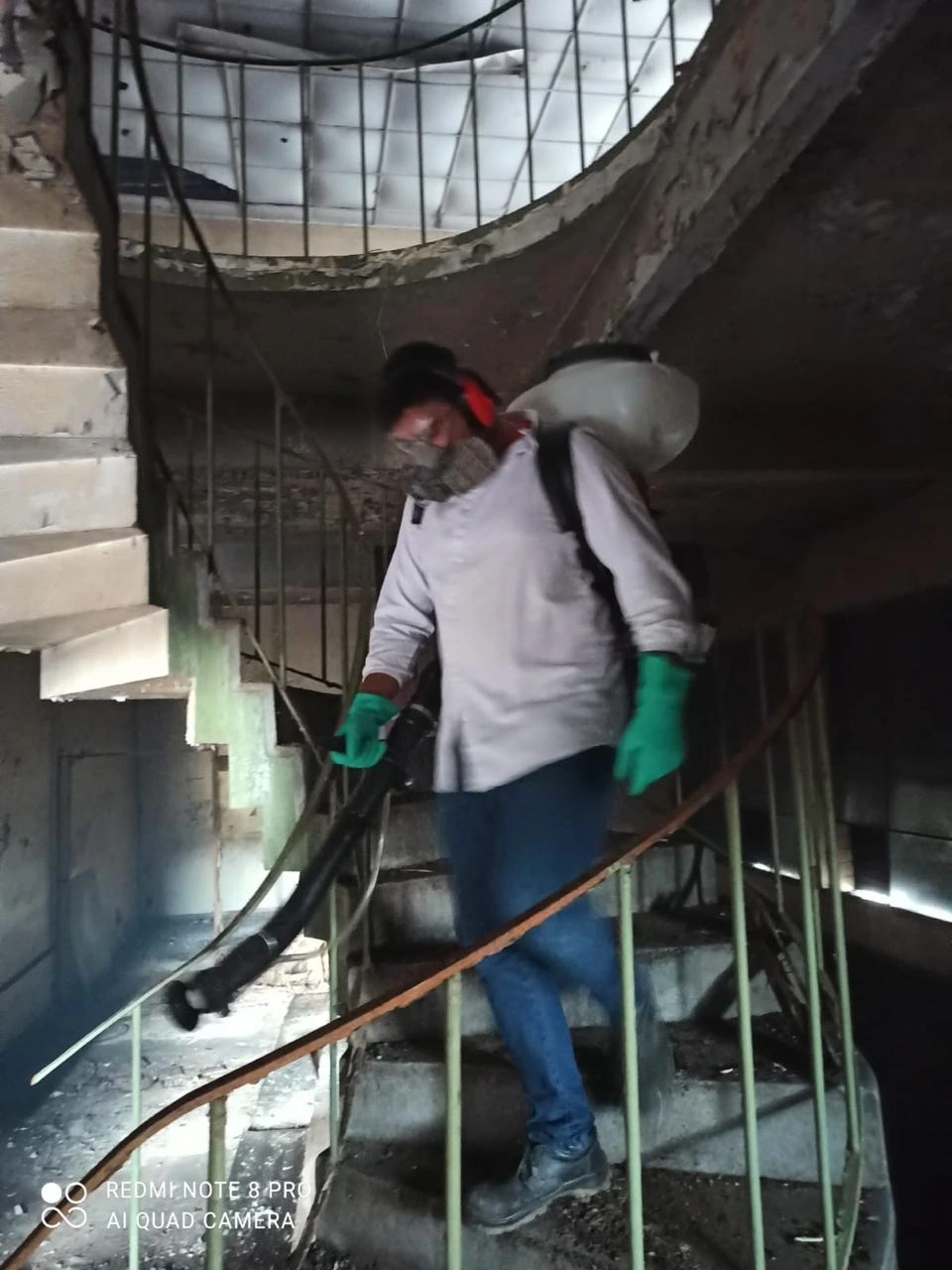 Controle de pragas em empresas