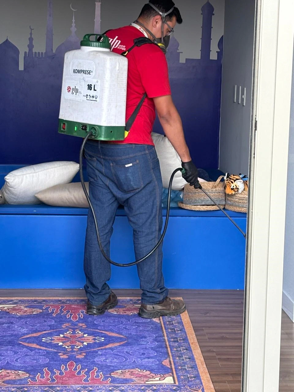 Imagem ilustrativa de Dedetização em Campinas